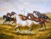unknow artist Horses 015 oil painting picture wholesale
